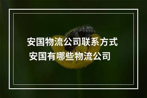 安国物流公司联系方式  安国有哪些物流公司