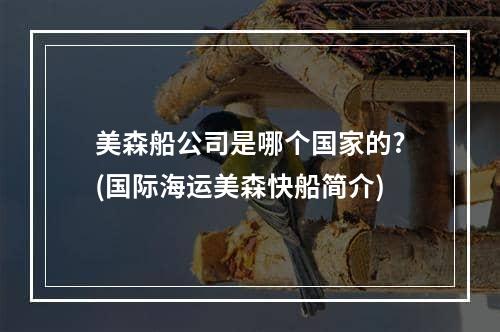 美森船公司是哪个国家的?(国际海运美森快船简介)