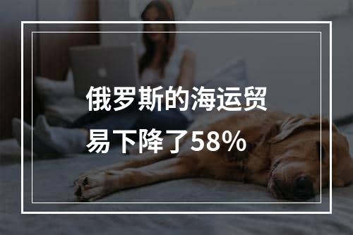 俄罗斯的海运贸易下降了58％