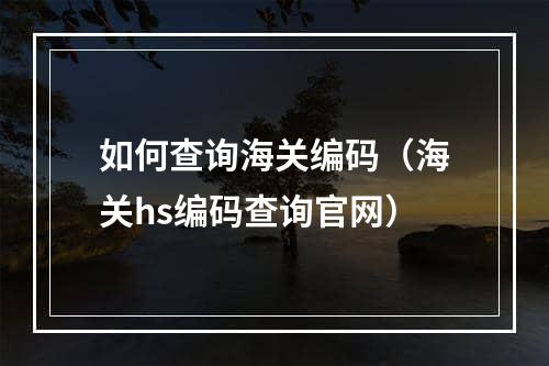 如何查询海关编码（海关hs编码查询官网）