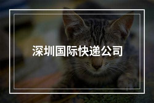 深圳国际快递公司