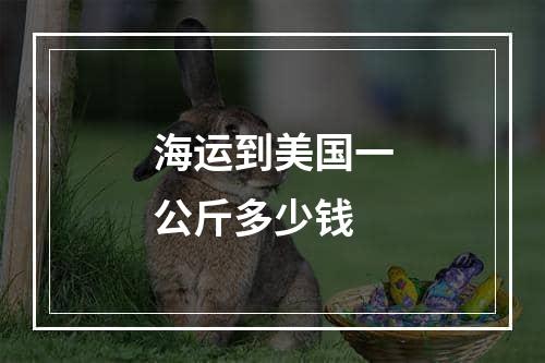 海运到美国一公斤多少钱