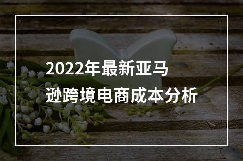 2022年最新亚马逊跨境电商成本分析