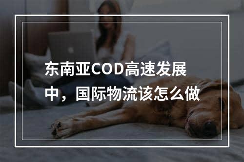 东南亚COD高速发展中，国际物流该怎么做