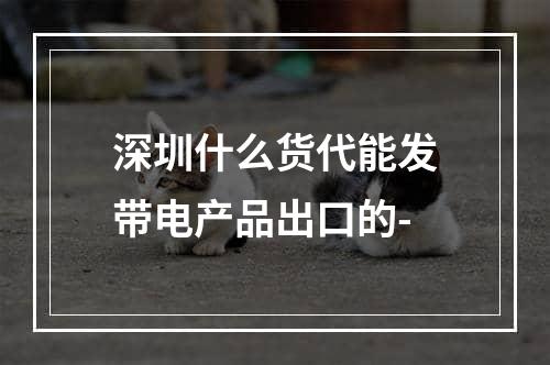 深圳什么货代能发带电产品出口的-