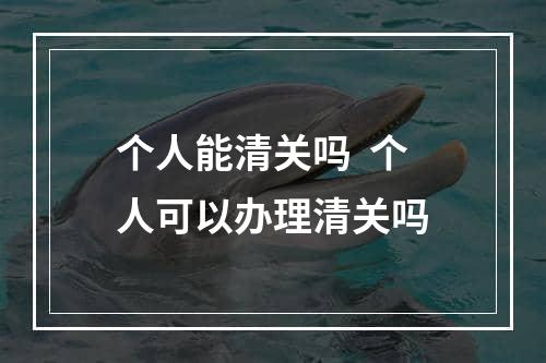 个人能清关吗  个人可以办理清关吗