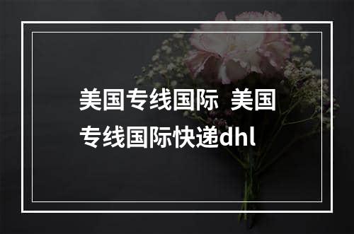 美国专线国际  美国专线国际快递dhl