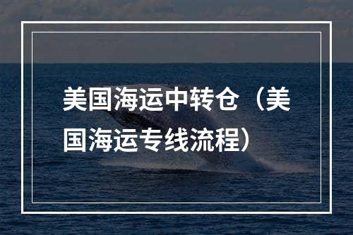 美国海运中转仓（美国海运专线流程）