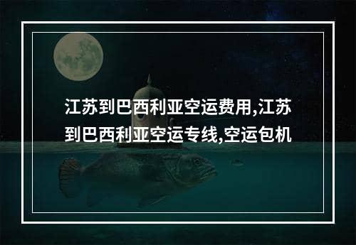 江苏到巴西利亚空运费用,江苏到巴西利亚空运专线,空运包机