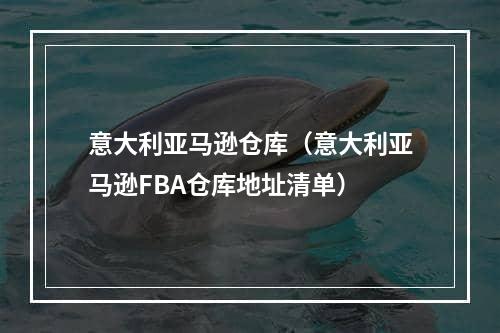 意大利亚马逊仓库（意大利亚马逊FBA仓库地址清单）