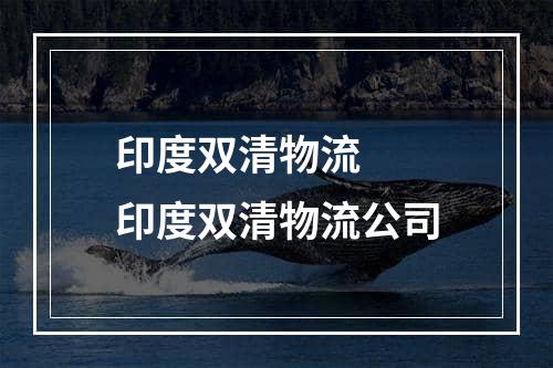 印度双清物流  印度双清物流公司