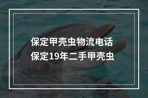 保定甲壳虫物流电话  保定19年二手甲壳虫