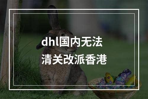 dhl国内无法清关改派香港