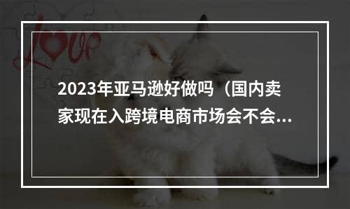 2023年亚马逊好做吗（国内卖家现在入跨境电商市场会不会太晚）