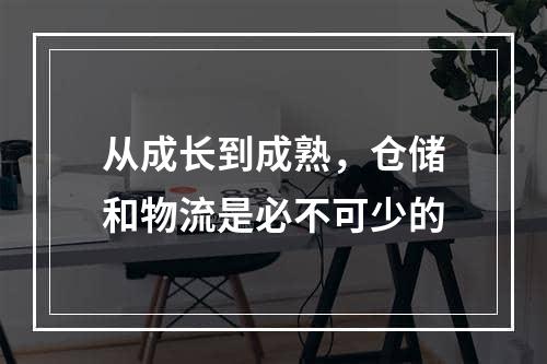 从成长到成熟，仓储和物流是必不可少的