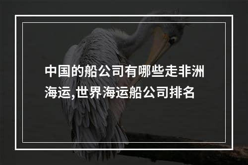 中国的船公司有哪些走非洲海运,世界海运船公司排名