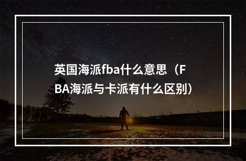 英国海派fba什么意思（FBA海派与卡派有什么区别）