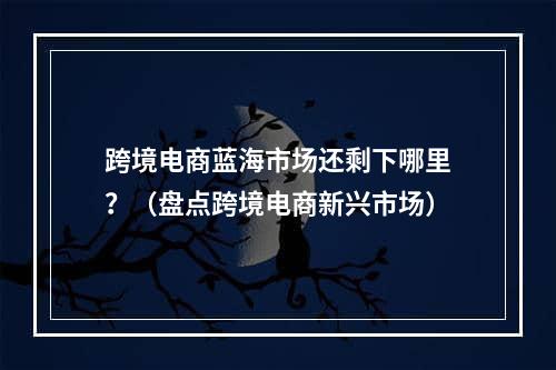 跨境电商蓝海市场还剩下哪里？（盘点跨境电商新兴市场）