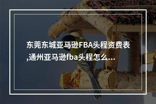 东莞东城亚马逊FBA头程资费表,通州亚马逊fba头程怎么收费