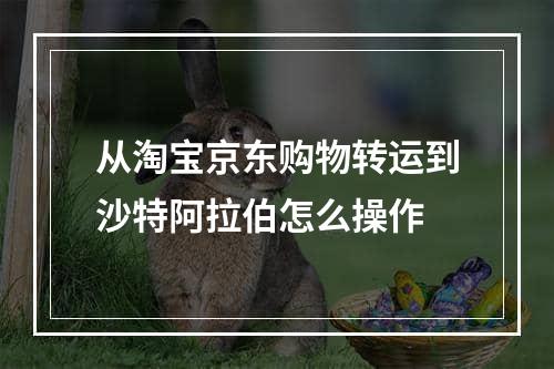 从淘宝京东购物转运到沙特阿拉伯怎么操作