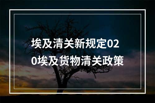 埃及清关新规定020埃及货物清关政策