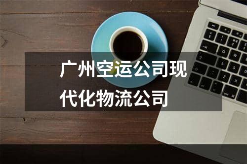 广州空运公司现代化物流公司