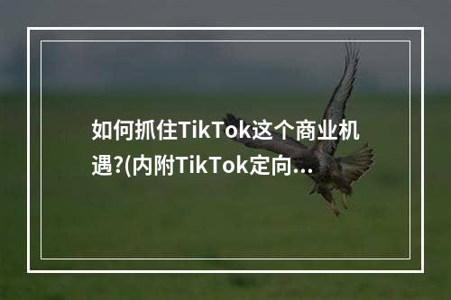 如何抓住TikTok这个商业机遇?(内附TikTok定向广告投放攻略)