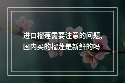 进口榴莲需要注意的问题,国内买的榴莲是新鲜的吗