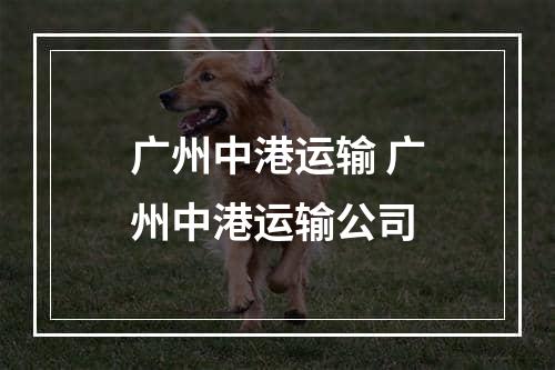 广州中港运输 广州中港运输公司