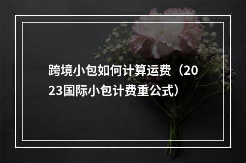 跨境小包如何计算运费（2023国际小包计费重公式）