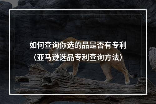 如何查询你选的品是否有专利（亚马逊选品专利查询方法）