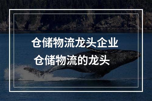 仓储物流龙头企业  仓储物流的龙头