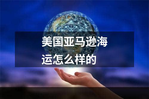 美国亚马逊海运怎么样的