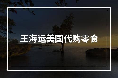 王海运美国代购零食