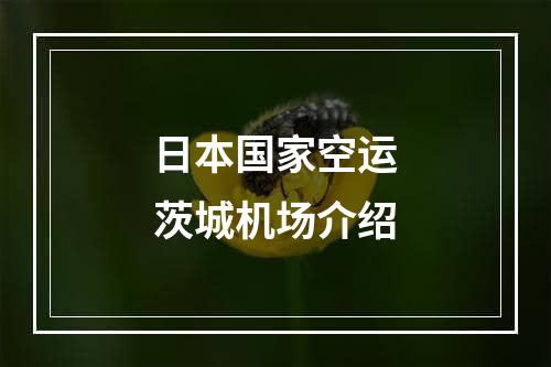 日本国家空运茨城机场介绍