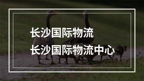 长沙国际物流  长沙国际物流中心