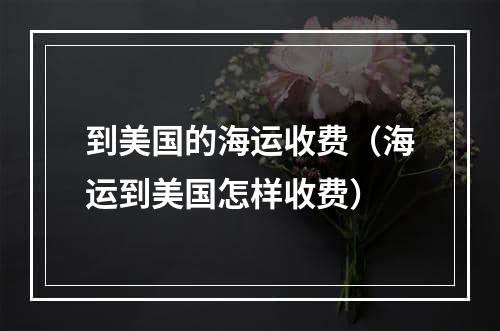 到美国的海运收费（海运到美国怎样收费）