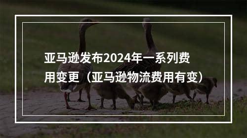 亚马逊发布2024年一系列费用变更（亚马逊物流费用有变）