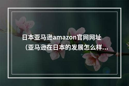 日本亚马逊amazon官网网址（亚马逊在日本的发展怎么样）