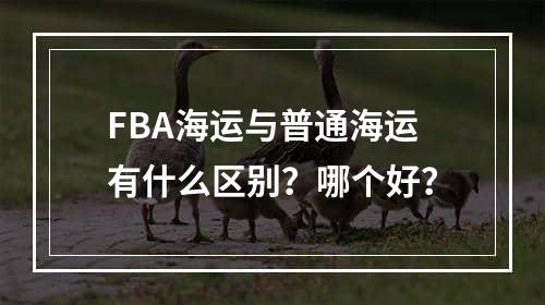 FBA海运与普通海运有什么区别？哪个好？