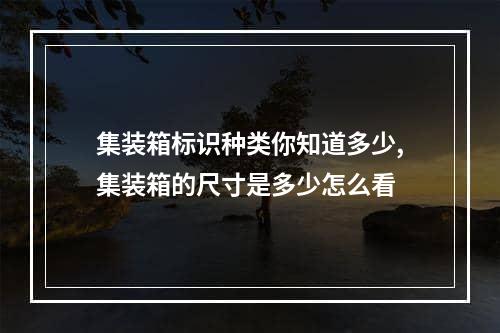 集装箱标识种类你知道多少,集装箱的尺寸是多少怎么看