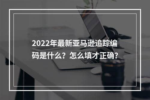 2022年最新亚马逊追踪编码是什么？怎么填才正确？