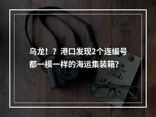 乌龙！？港口发现2个连编号都一模一样的海运集装箱？