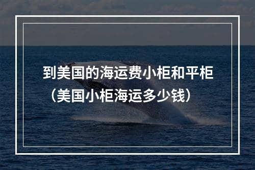 到美国的海运费小柜和平柜（美国小柜海运多少钱）