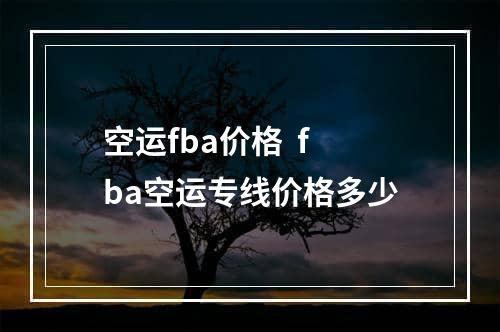 空运fba价格  fba空运专线价格多少