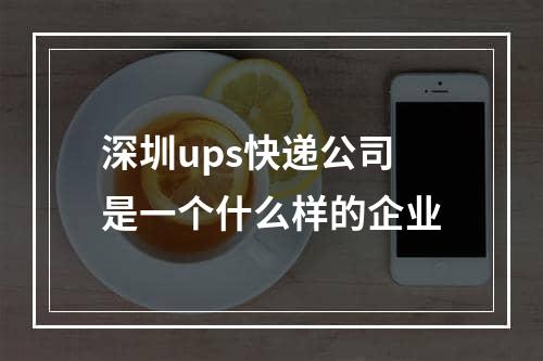 深圳ups快递公司是一个什么样的企业