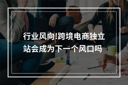 行业风向!跨境电商独立站会成为下一个风口吗