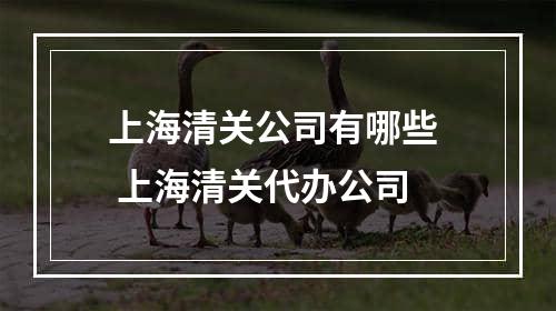 上海清关公司有哪些  上海清关代办公司