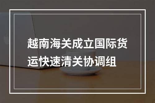 越南海关成立国际货运快速清关协调组