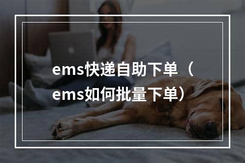 ems快递自助下单（ems如何批量下单）